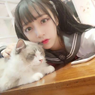 傲世神话果盘最新版下载